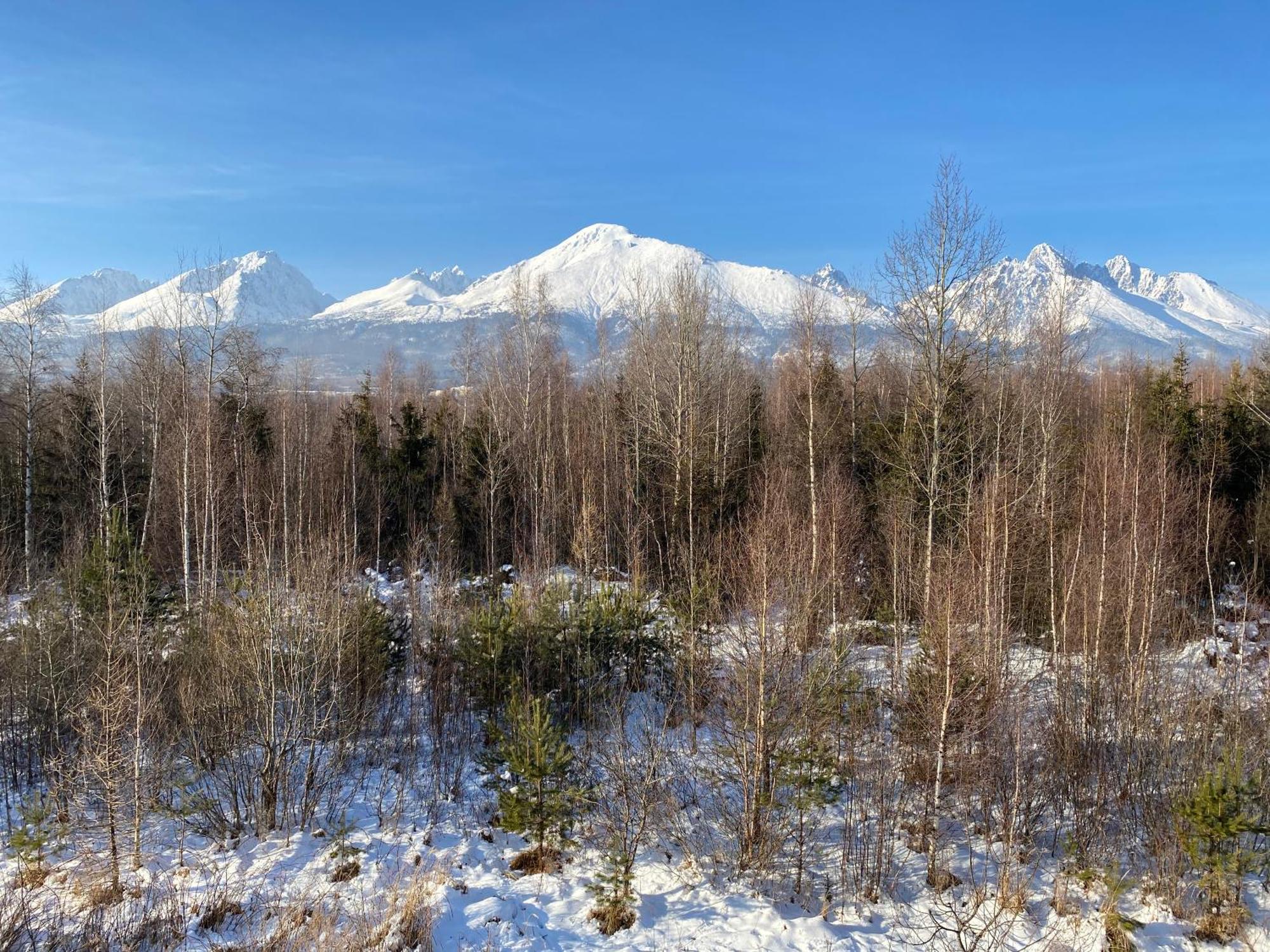 Apartman S Nadhernym Vyhladom Na Tatry Veľký Slavkov 外观 照片
